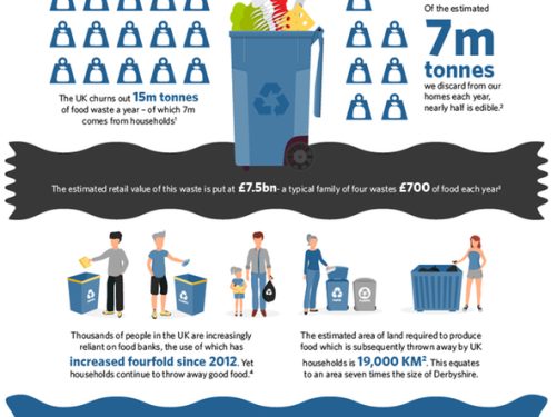 infographic food waste InSinkErator®