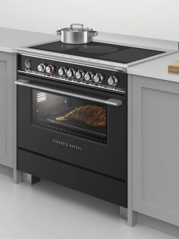 fisher & paykel Induction Cooker range