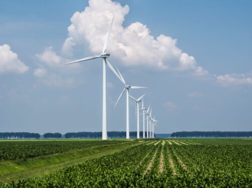 Bathroom-Review-Keller-Carbon-Farming-Sustainability-Carbon-Farm-Wind-Farm